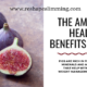 Health benefit of fig