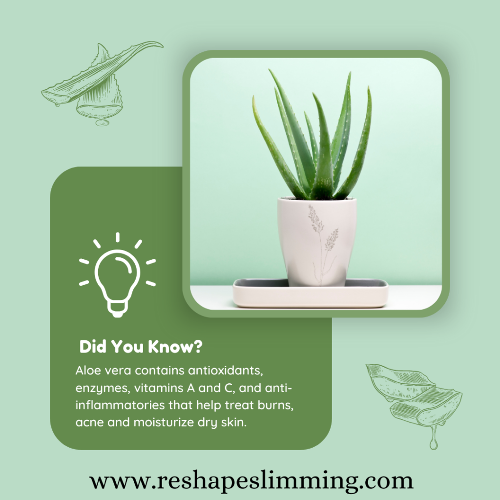 Skin benefits of Aloe vera