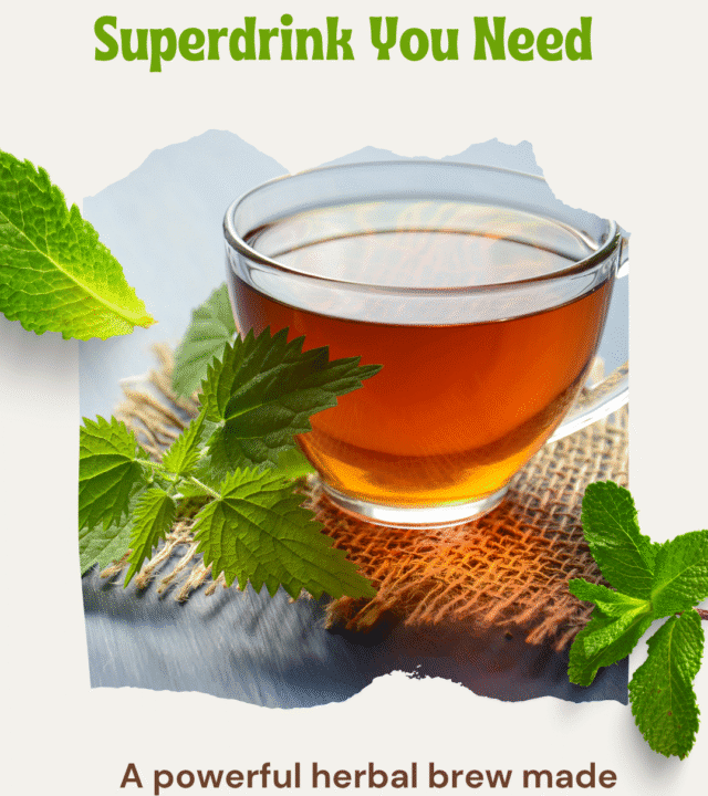 Moringa Tea The Superdrink You Need
