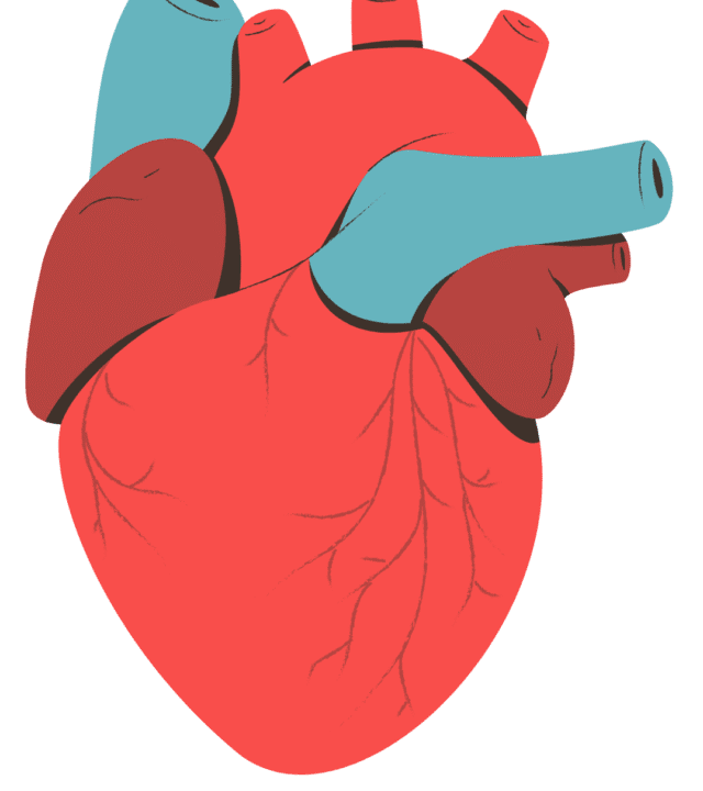 Why Heart Attack Happens