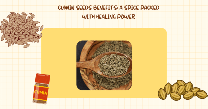 Cumin Seeds Benefits A Spice Packed with Healing Power